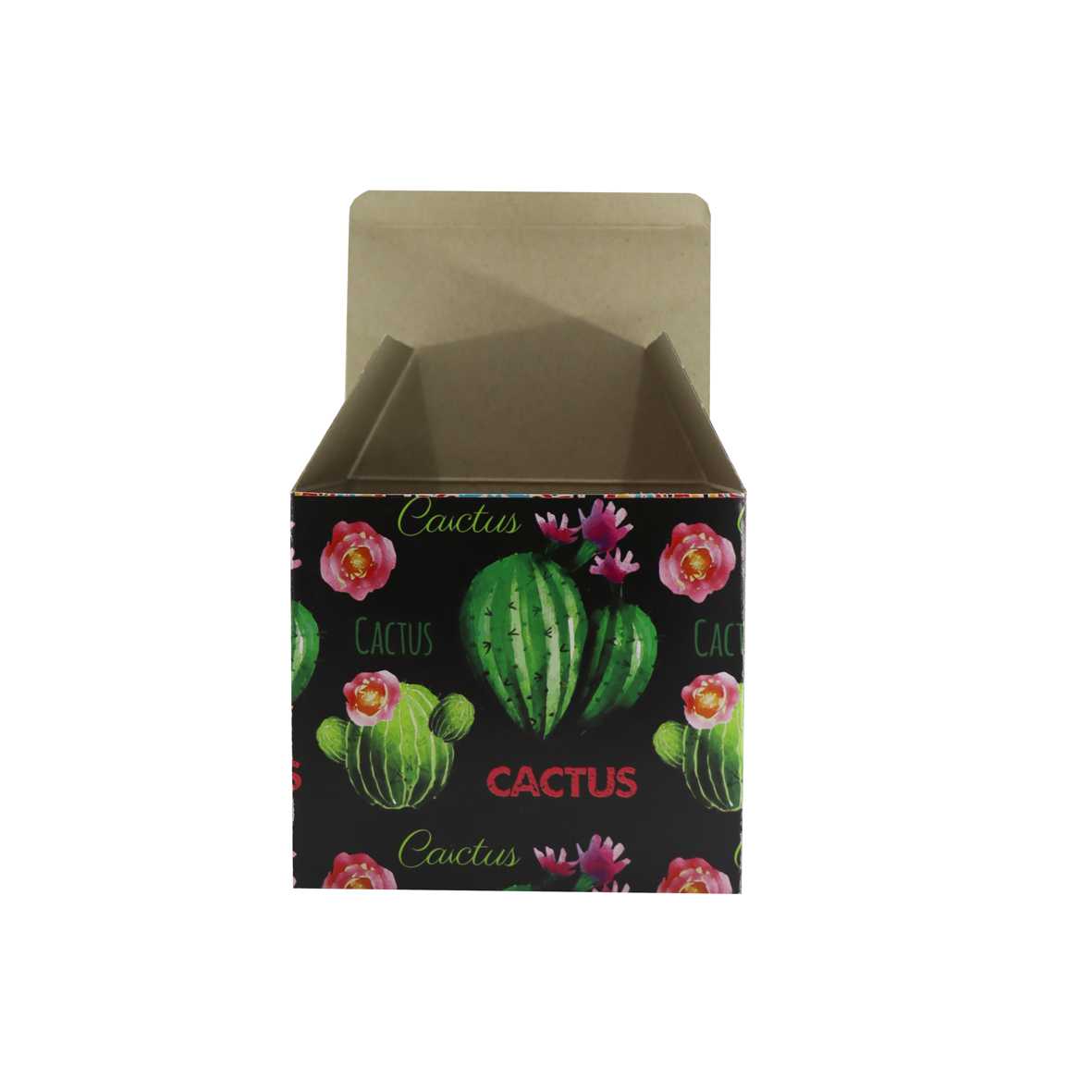 جعبه لیوان طرح کاکتوس کد 125
